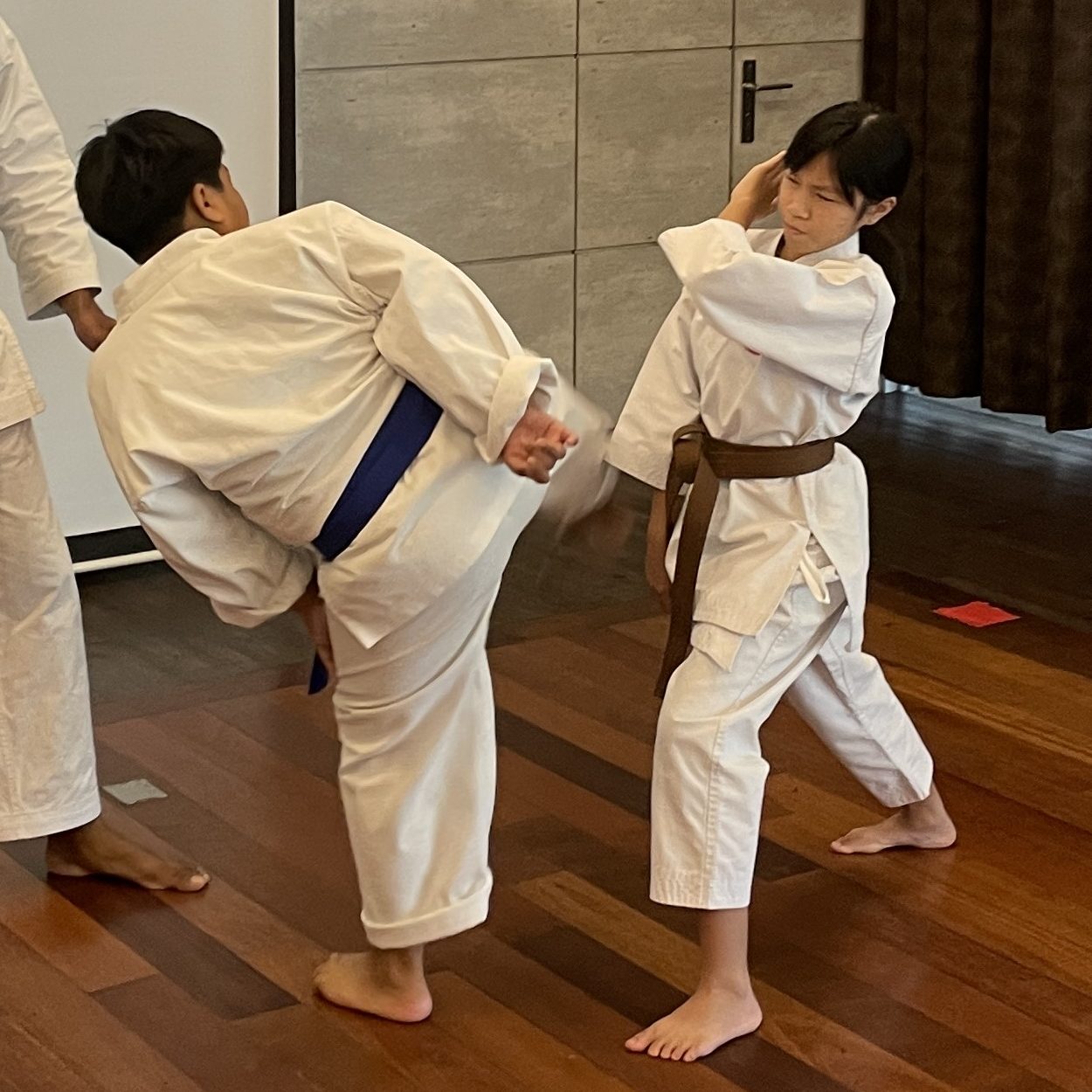 karate-lessons-for-children-and-adults-meru-valley-golf-resort